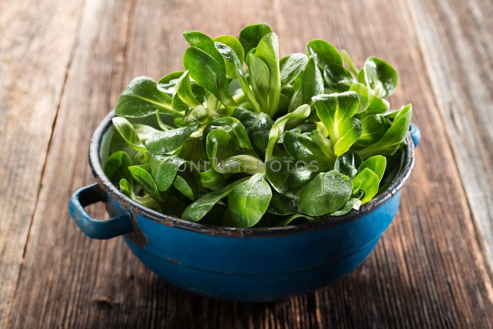 Valerianella lettuce in a bowl on wooden background