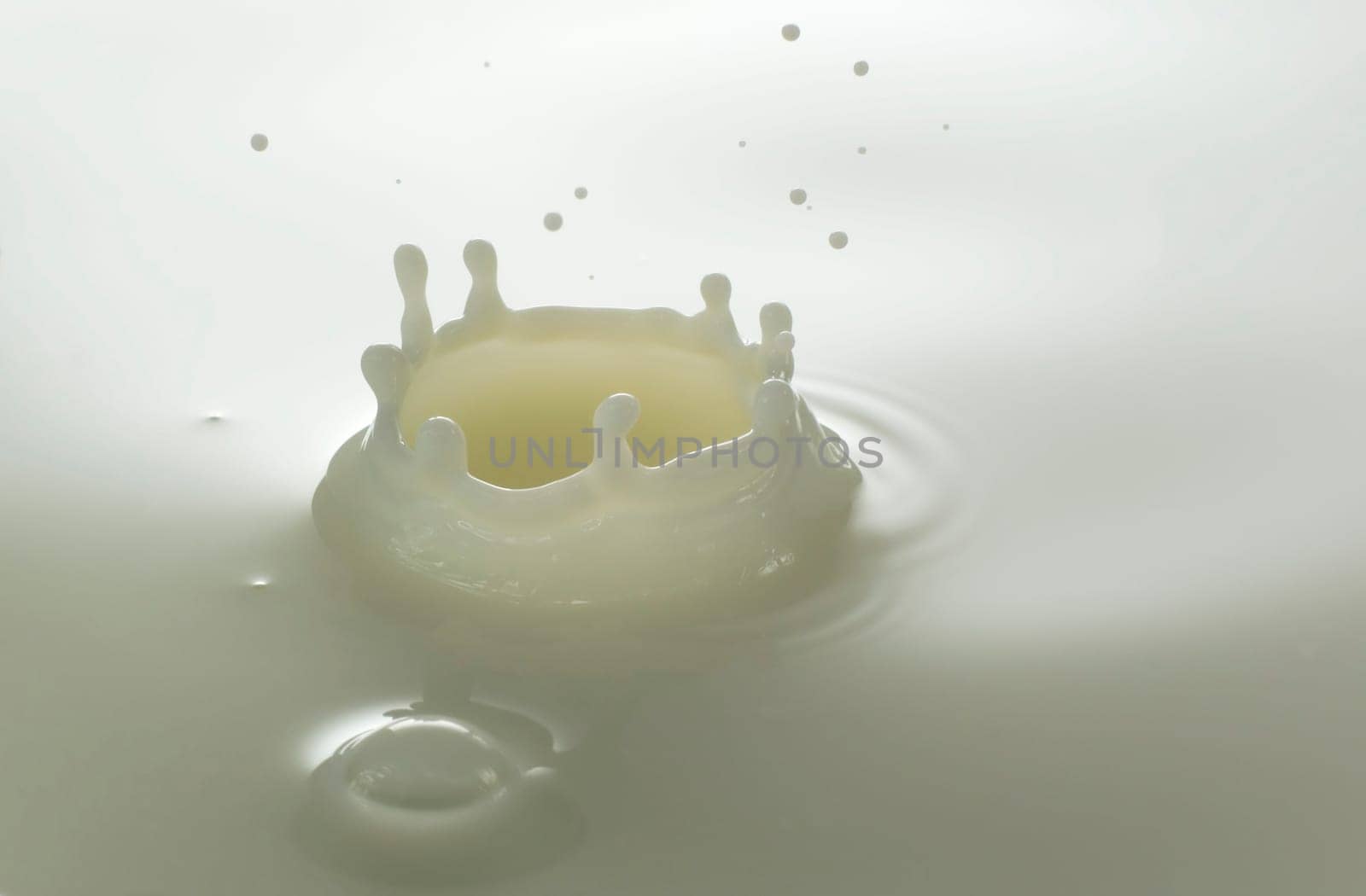 fresh white milk drop close up shoot