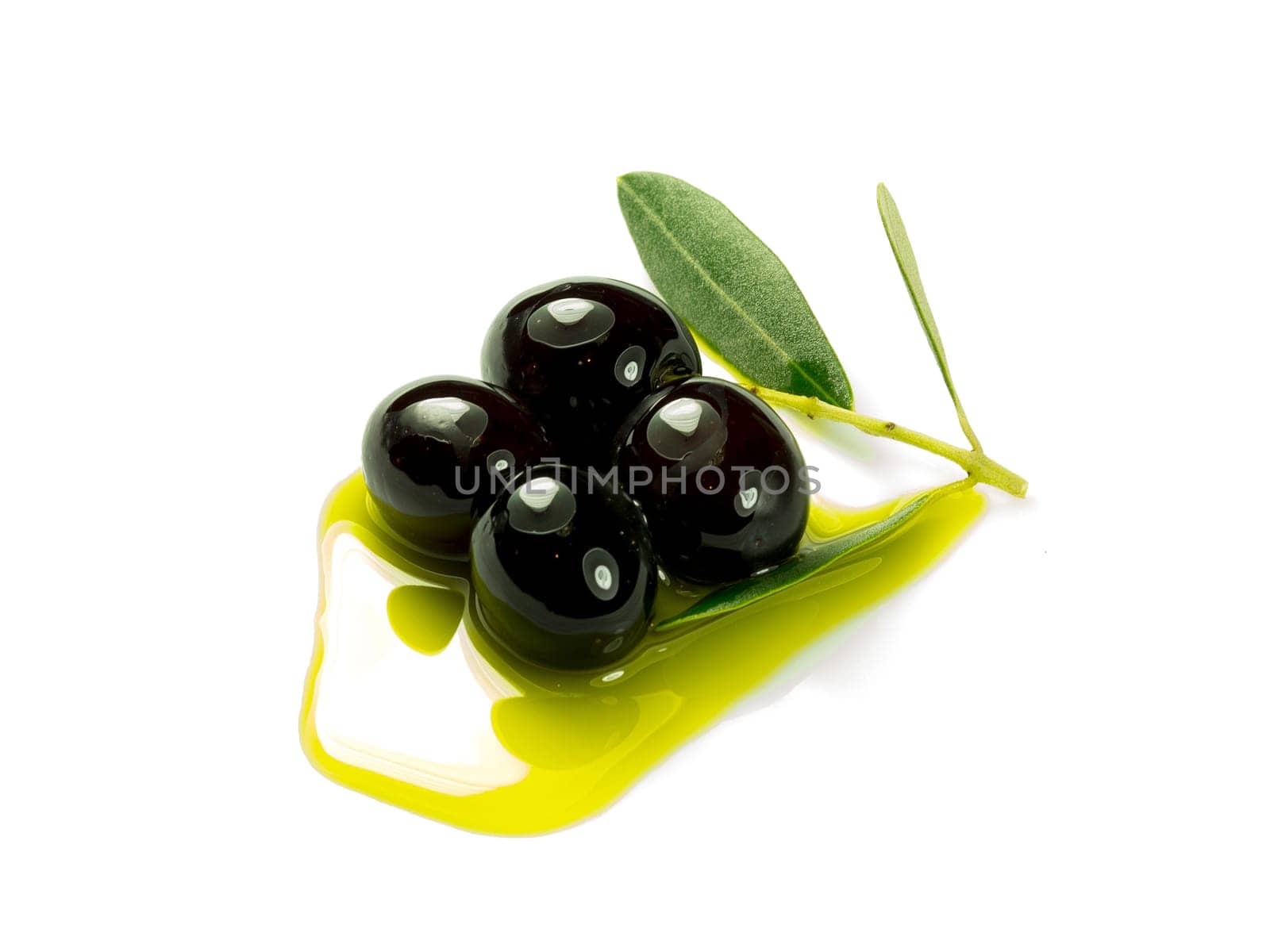 An olive branch with three premium olives on some olive oil on a white background.