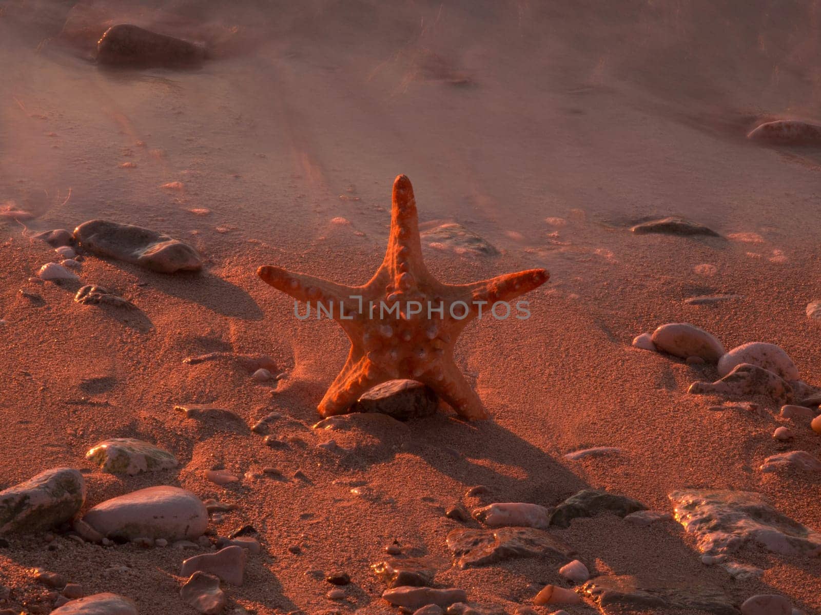 Summer vacations - starfish on sunset sea sand beach