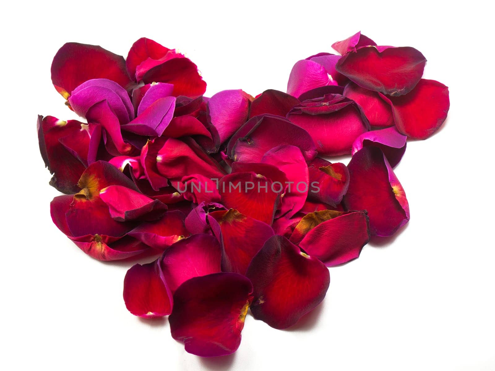 beautiful heart of red rose petals isolated on white
