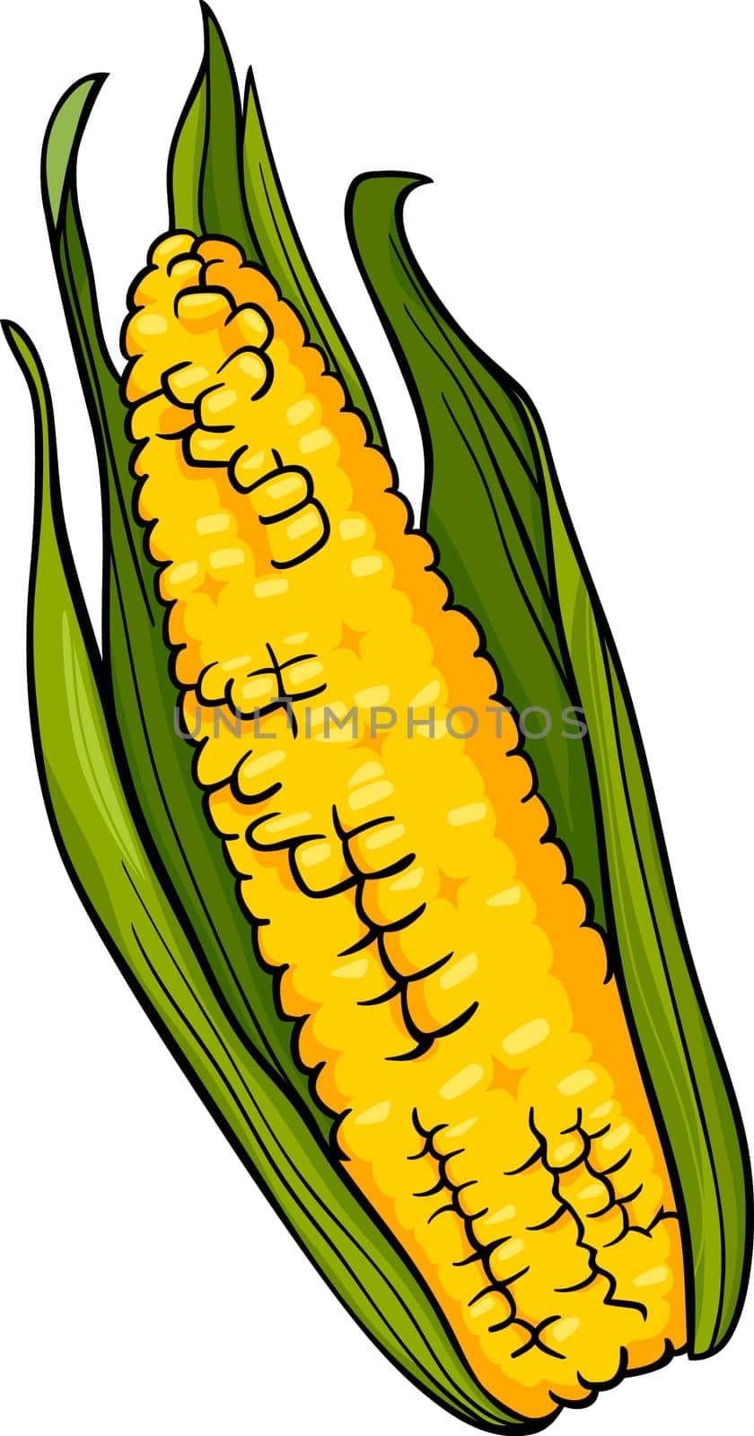 Cartoon Illustration of Corn on the Cob Food Object