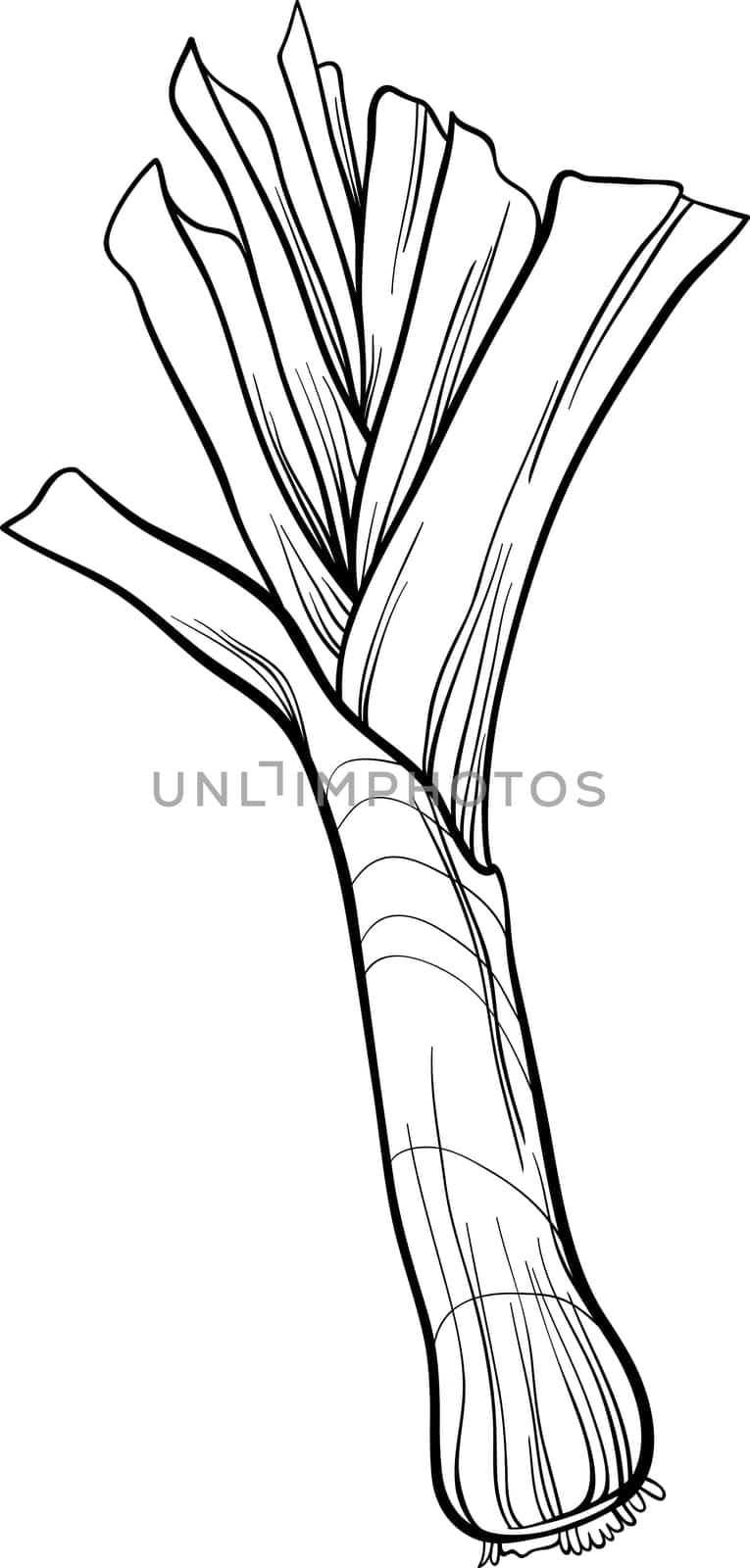 Black and White Cartoon Illustration of Leek Vegetable Food Object for Coloring Book