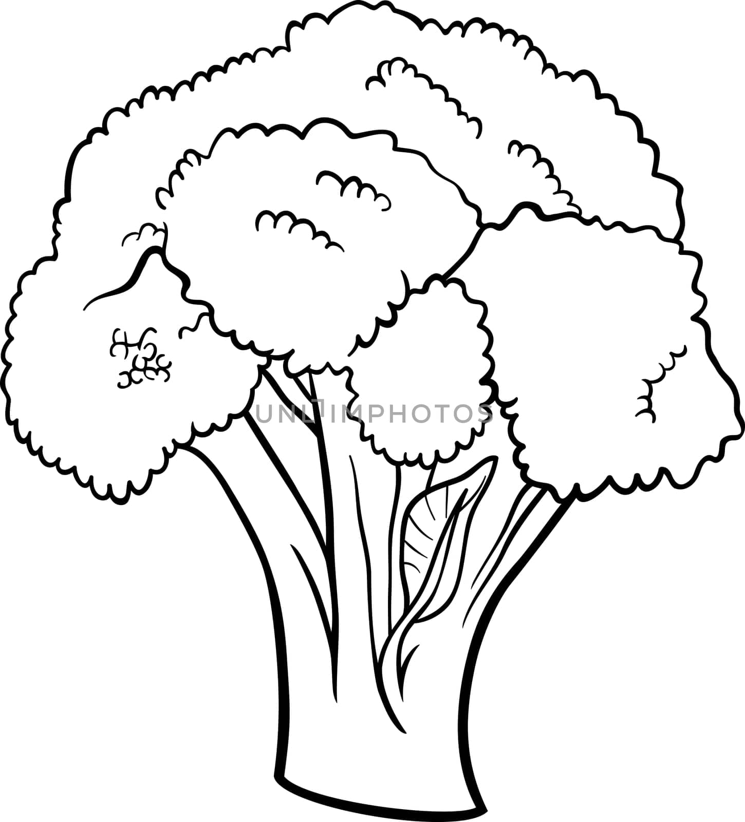 Black and White Cartoon Illustration of Broccoli Vegetable Food Object for Coloring Book