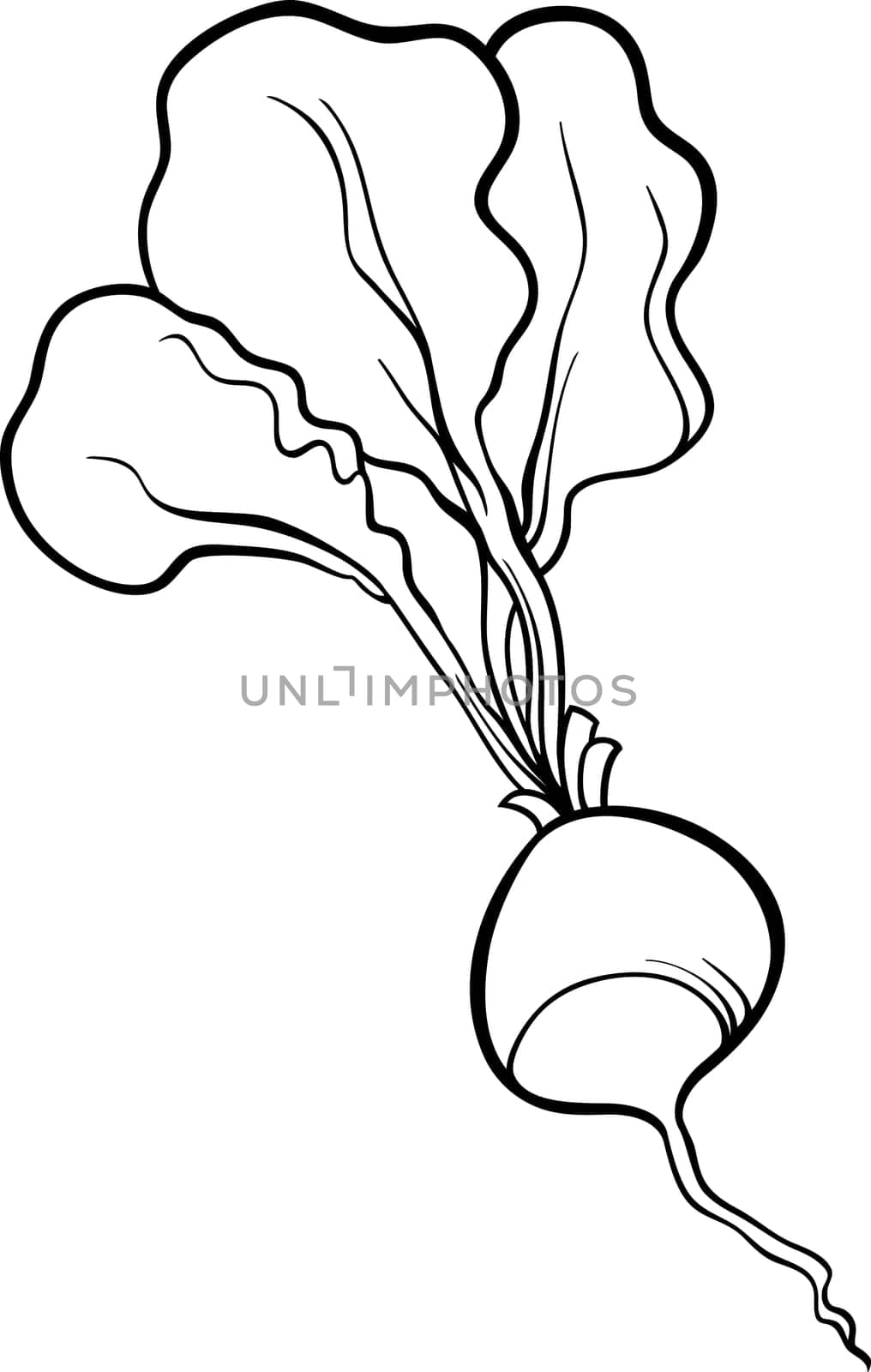 Black and White Cartoon Illustration of Radish Vegetable Food Object for Coloring Book