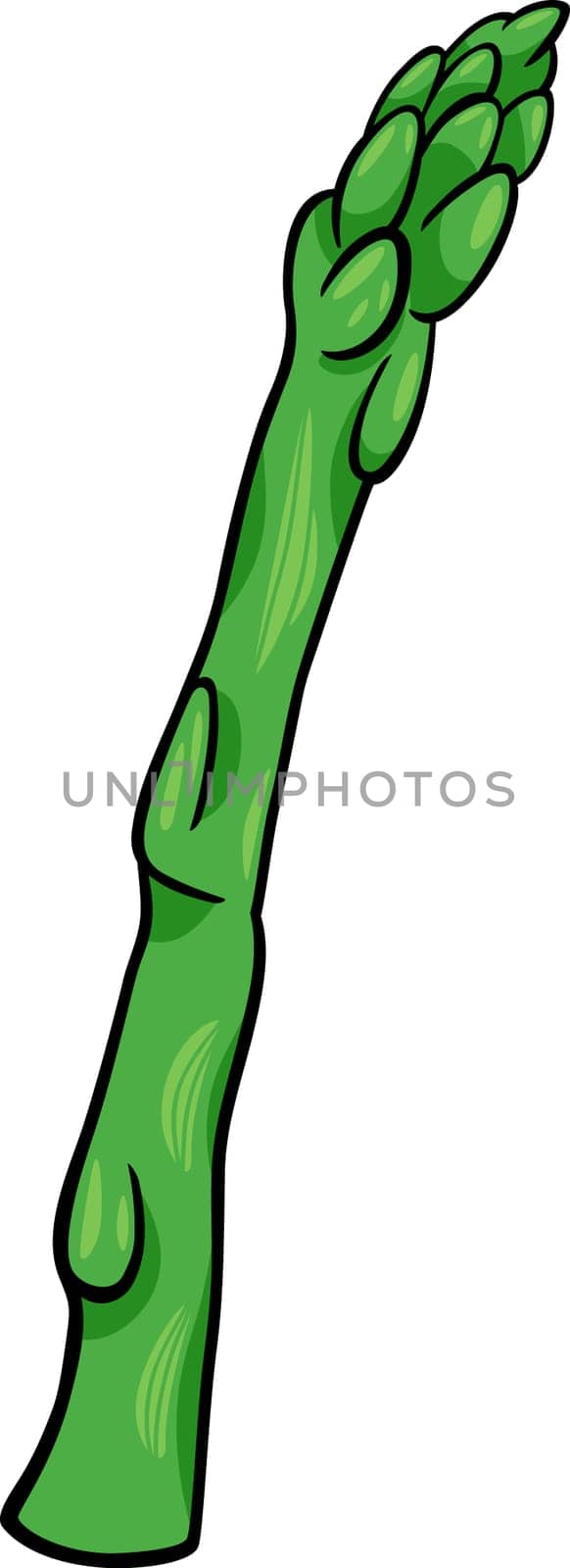 Cartoon Illustration of Asparagus Vegetable Food Object