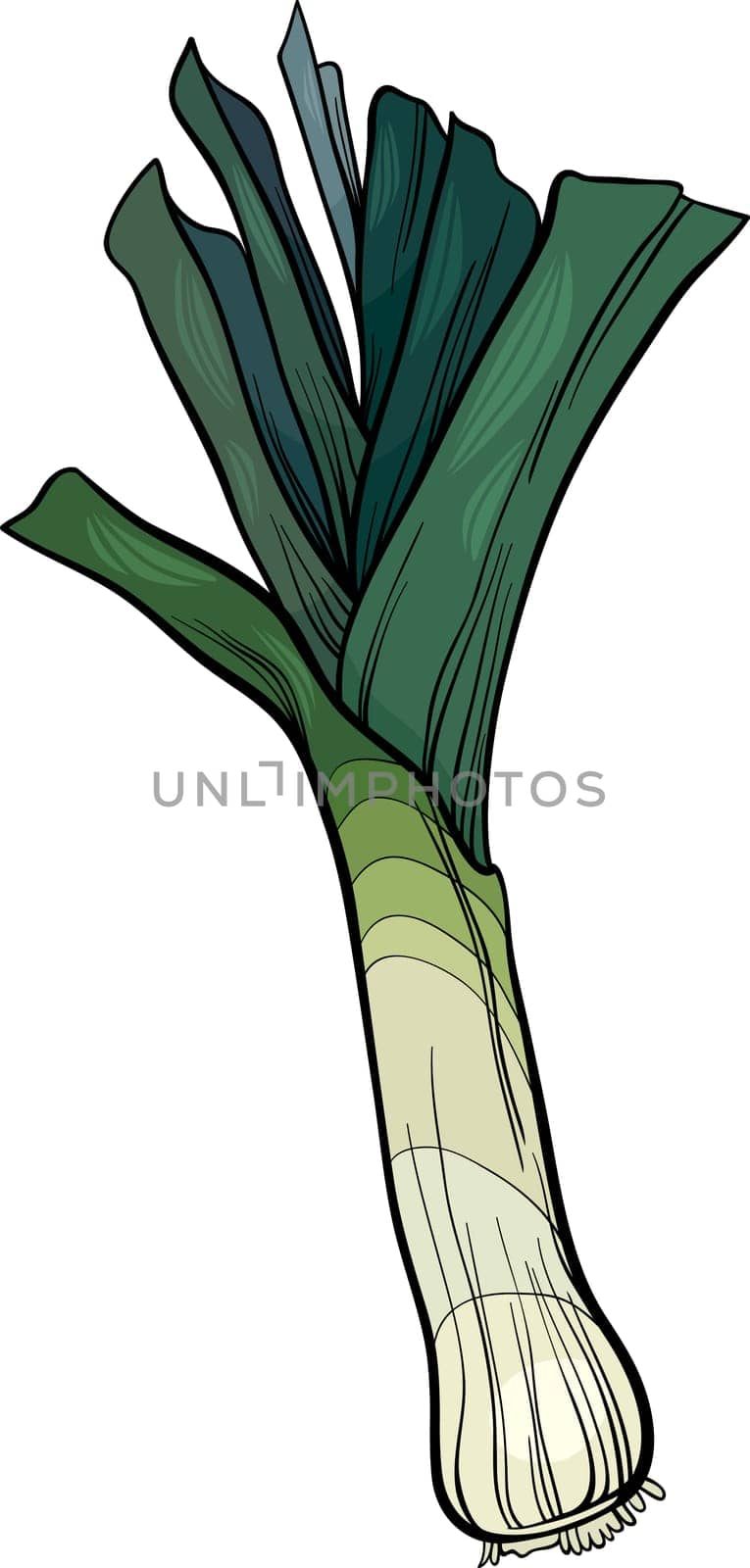 Cartoon Illustration of Leek Vegetable Food Object