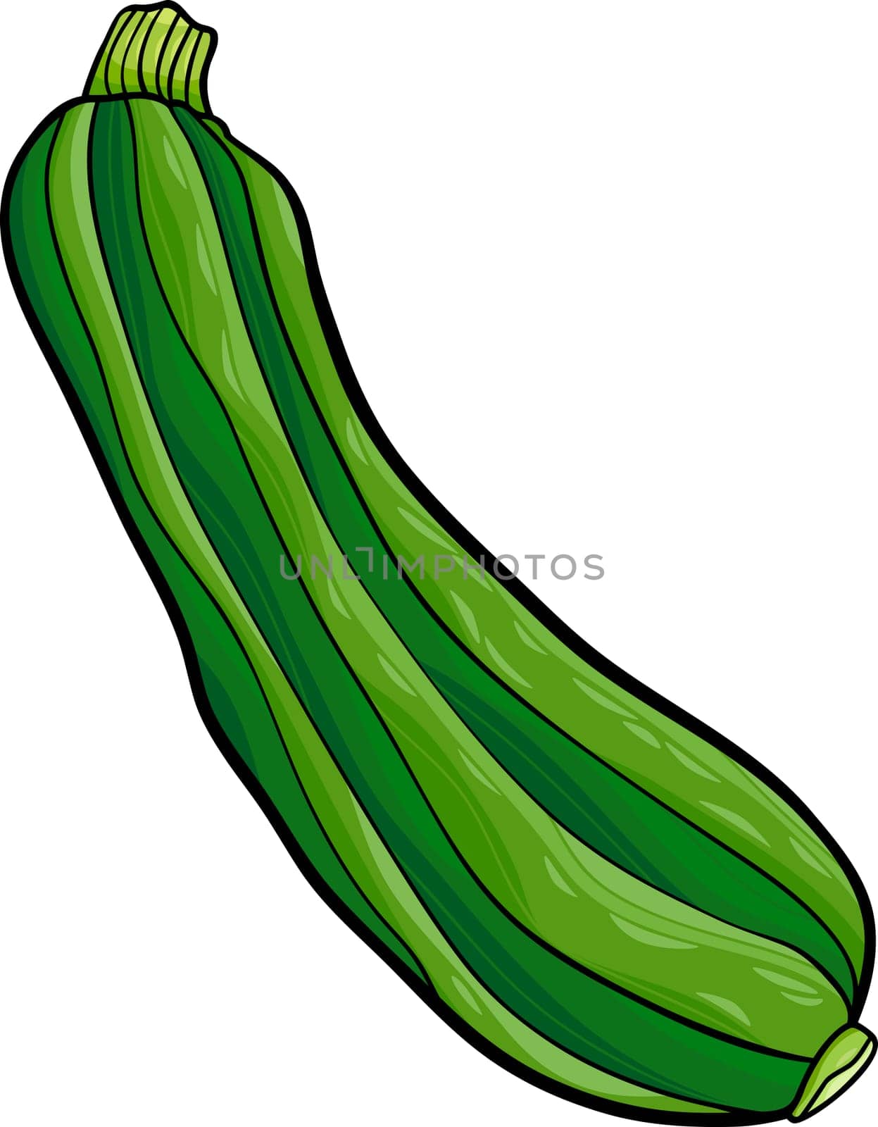 Cartoon Illustration of Zucchini Vegetable Food Object