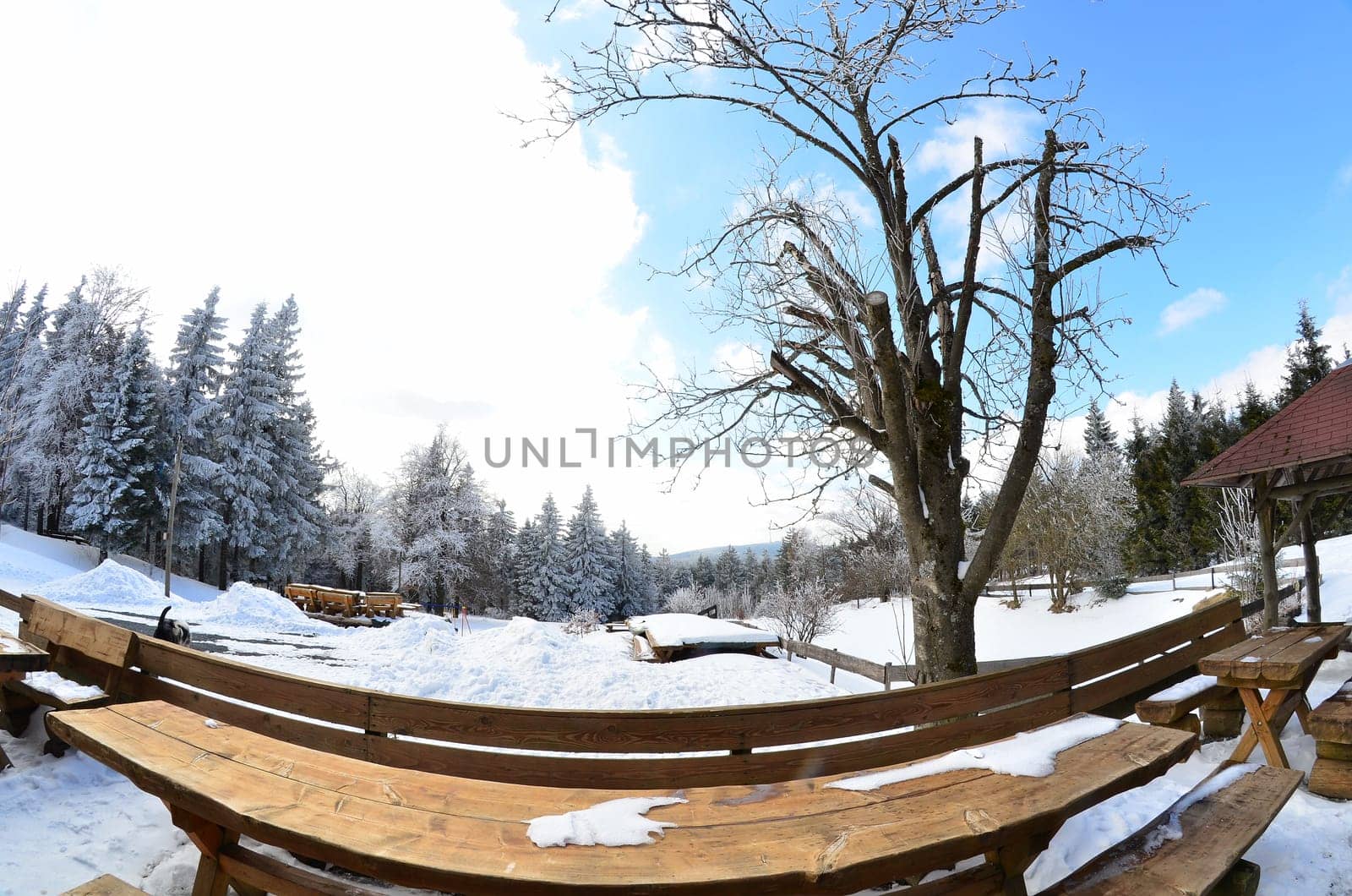 Winter Landscape Fisheye
