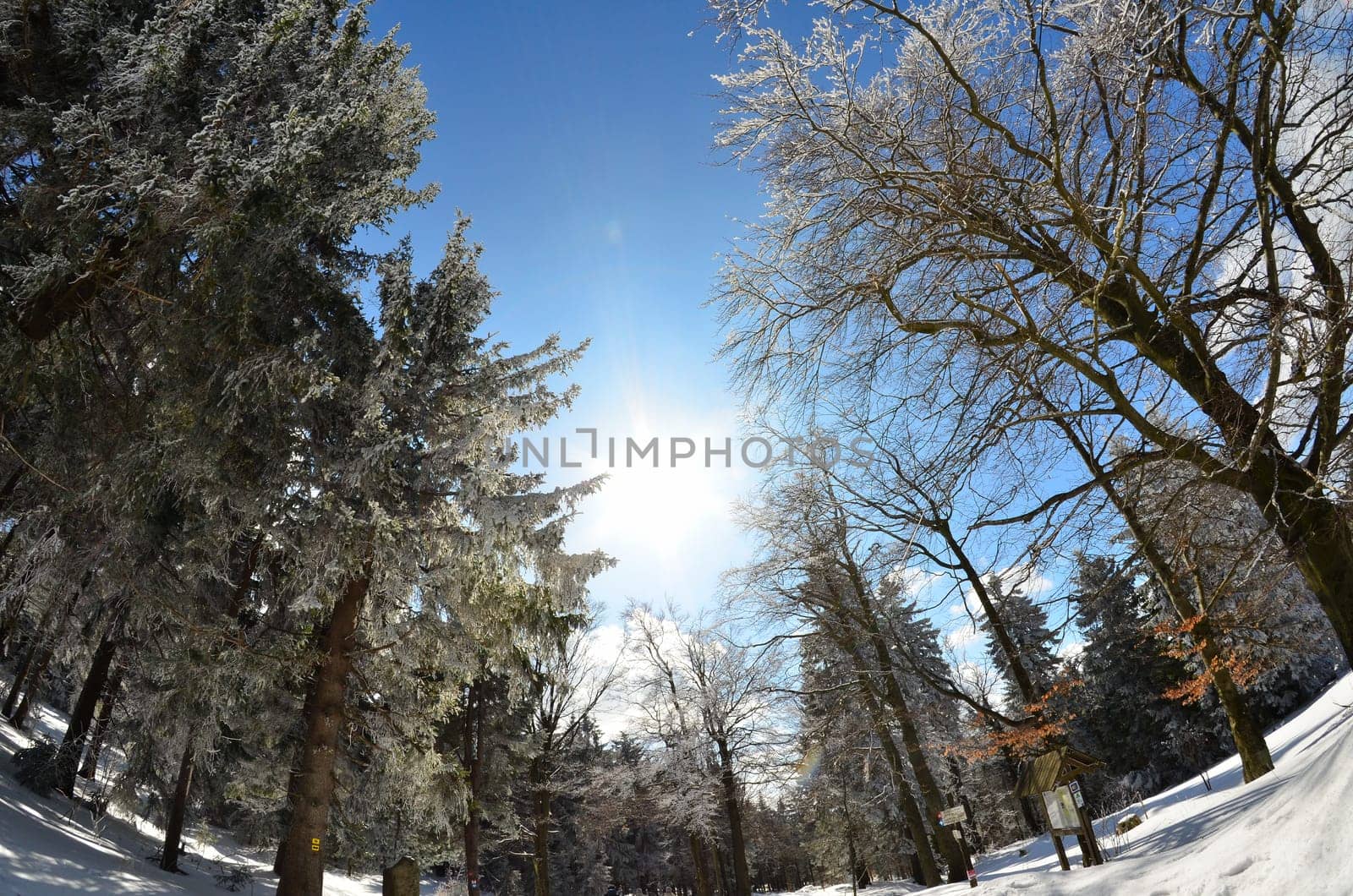 Winter Landscape Fisheye