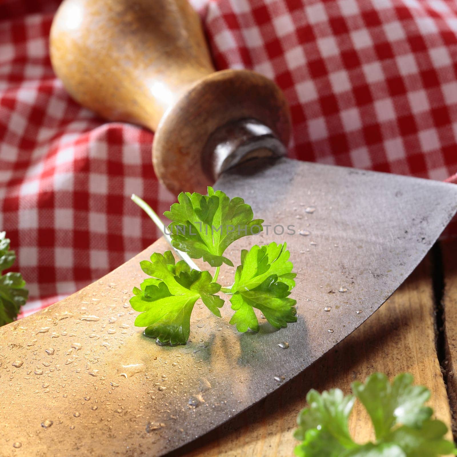 Close up of a modern herb cutter (wiegemes) with wooden handles and a sprig of parsley on the blade.