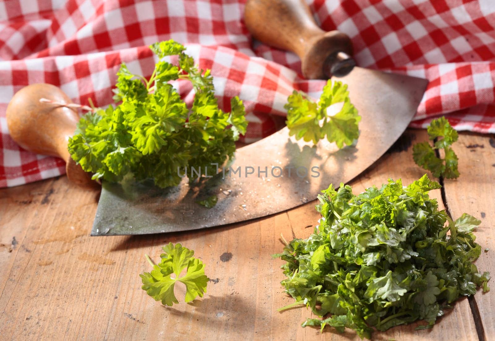 Modern herb cutter (wiegemes) with wooden handles with clumps of parsley against a red gingham cloth.