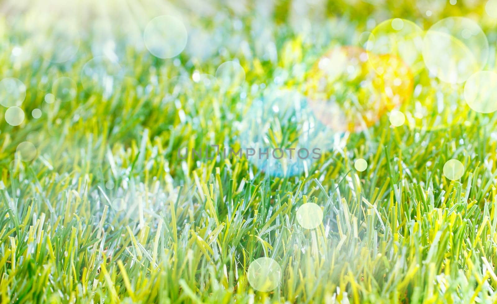 Ethereal Spring background with lens flare and bokeh over lush green grass