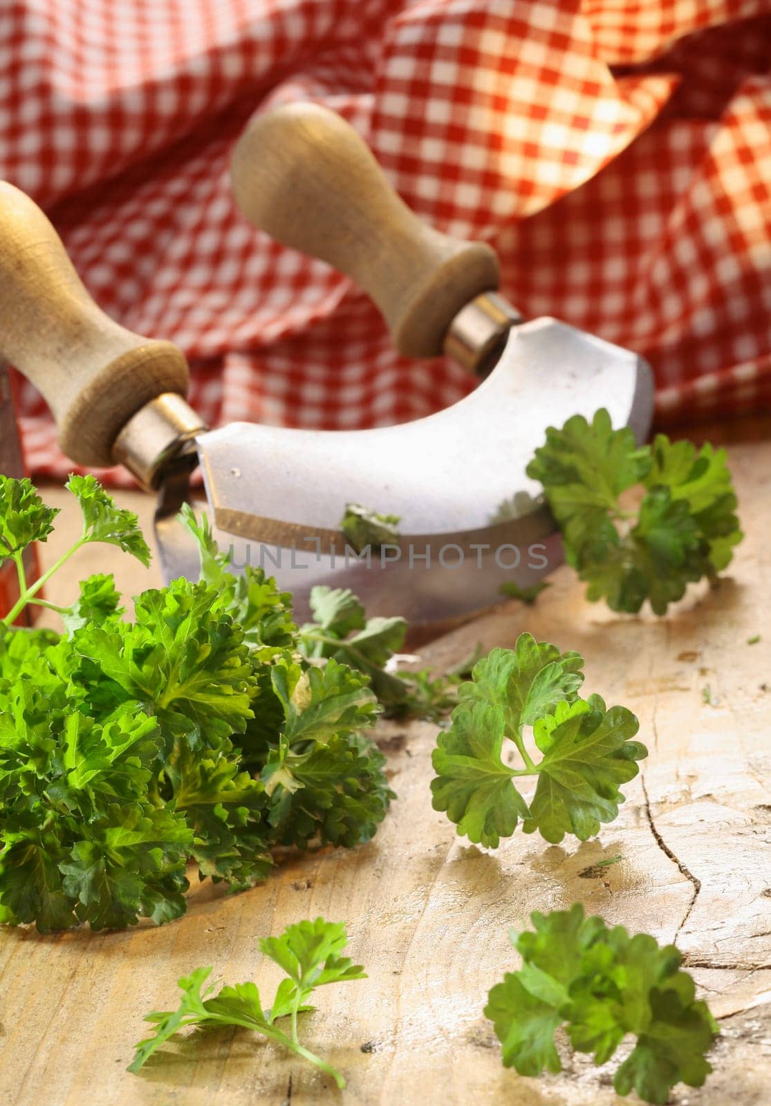 Close up of a modern herb cutter (wiegemes) with wooden handles and a sprig of parsley on the blade.