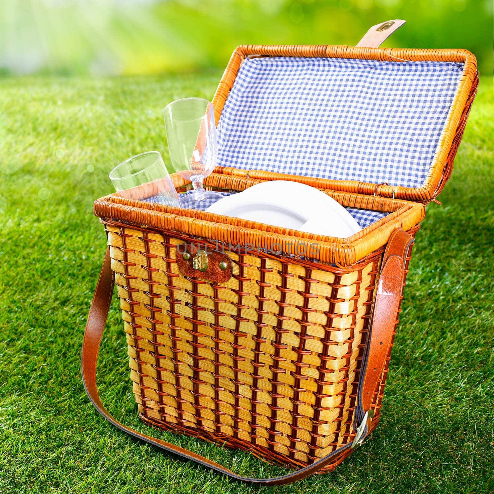 Fitted wicker picnic basket or hamper standing on fresh lush green grass with the lid open displaying a pretty blue and white checked lining with plates and glasses