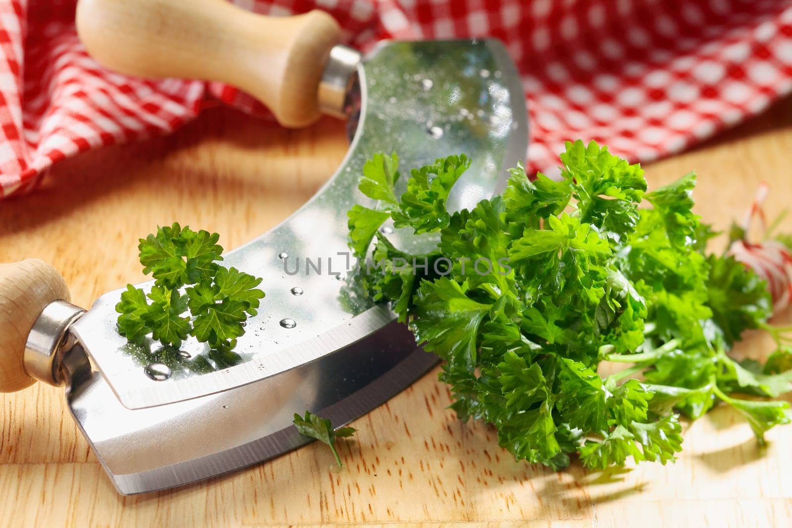Close up of a modern herb cutter (wiegemes) with wooden handles and a clump of parsley on the blade.
