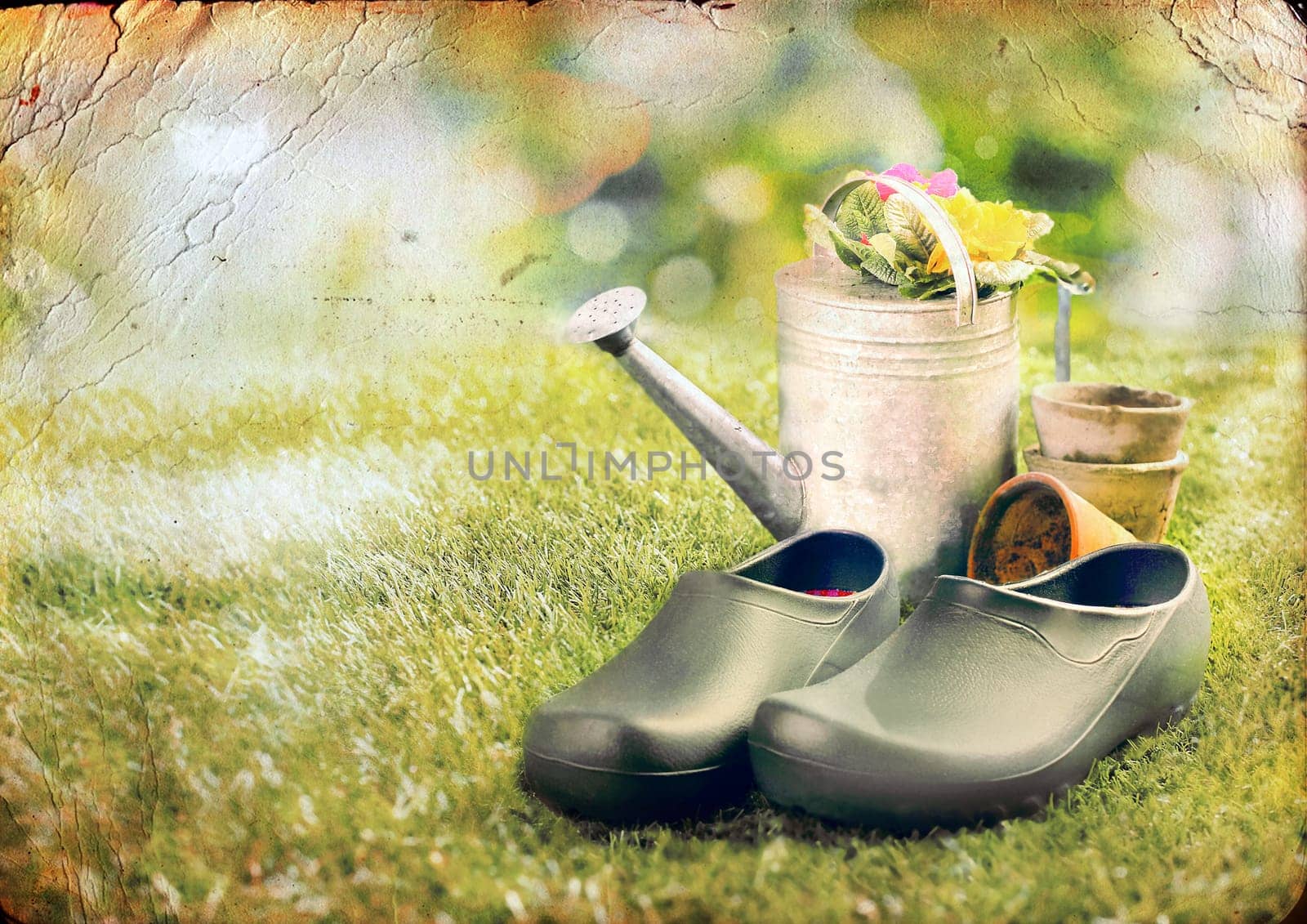Artistically aged vintage effect image of a pair of green clogs or gardening shoes on the lawn in summer alongside an old metal watering can filled with flowers surrounded by scattered clay flowerpots