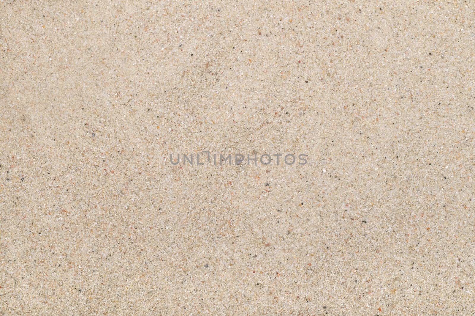Sand texture. Sandy beach for background