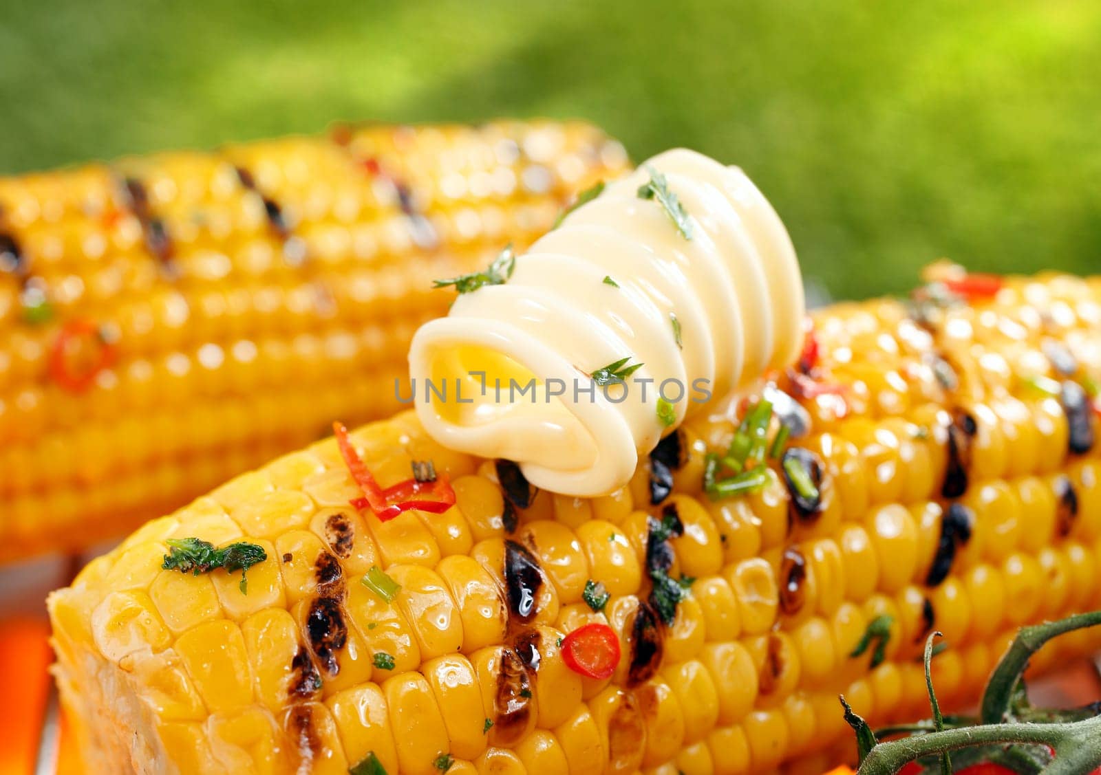 Delicious golden grilled corn on the cob served outdoors with a curl of fresh farm butter