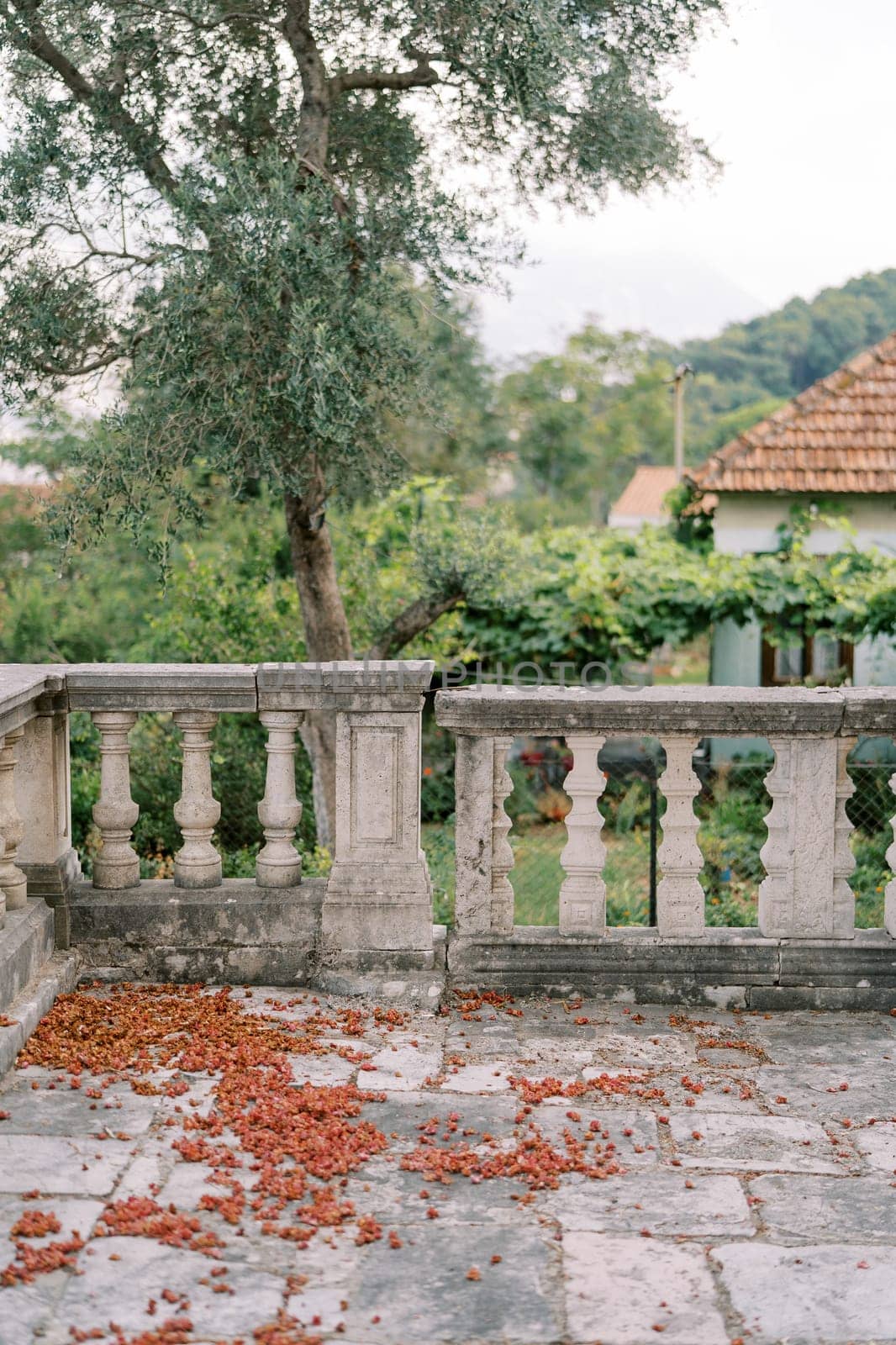 Stone balustrade of the terrace of an old building in the garden by Nadtochiy