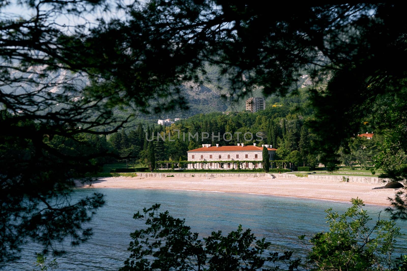 View through the green branches to the beach near Villa Milocer. Montenegro. High quality photo