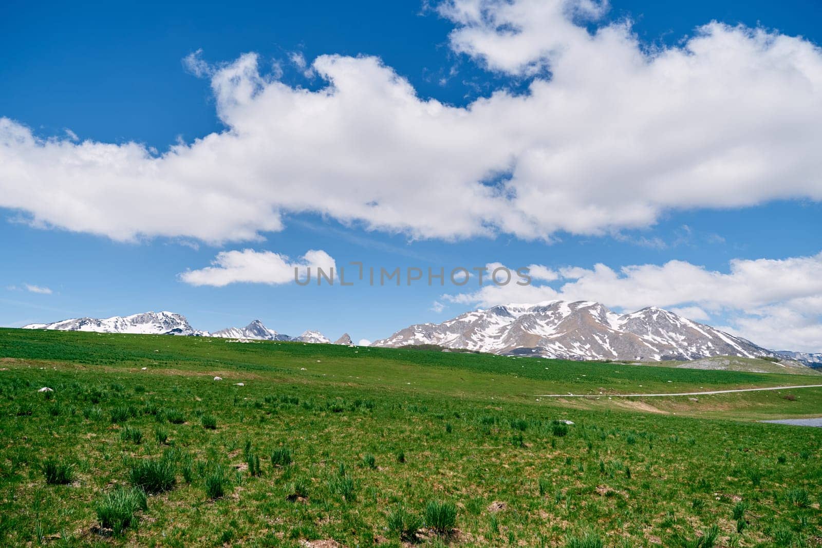 Green pastures at the foot of snowy mountain peaks. High quality photo
