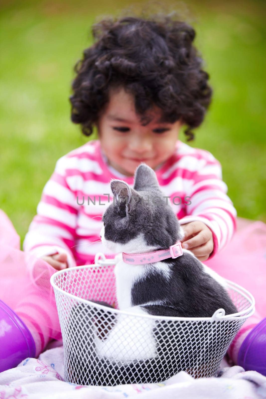Nature, girl and kitten in a basket in a garden on the grass on a summer weekend together. Happy, sunshine and child or kid sitting and having fun with cat or feline animal pet on lawn in a field