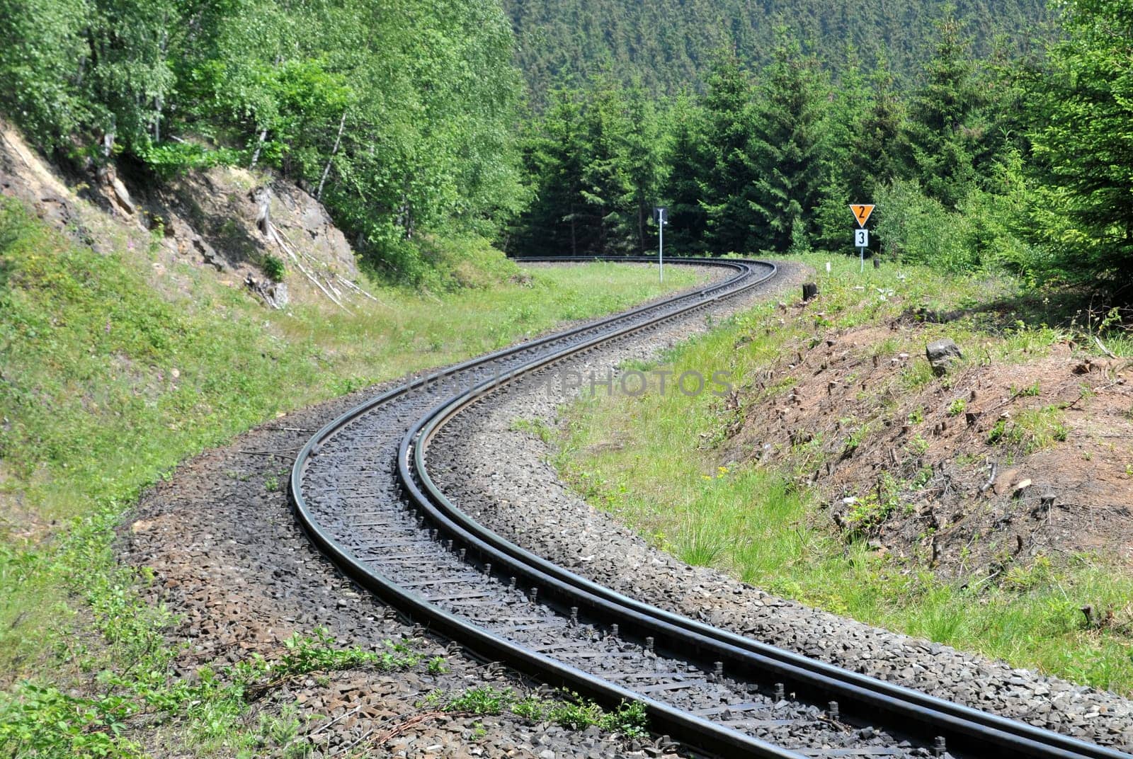 Tracks in the Harz Mountains