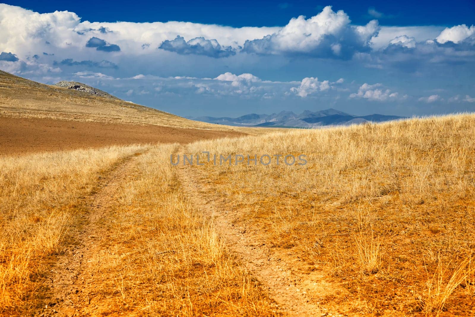 Fall landscape in Priopcea Pass, Macin Mountains, Dobrogea, Romania.
