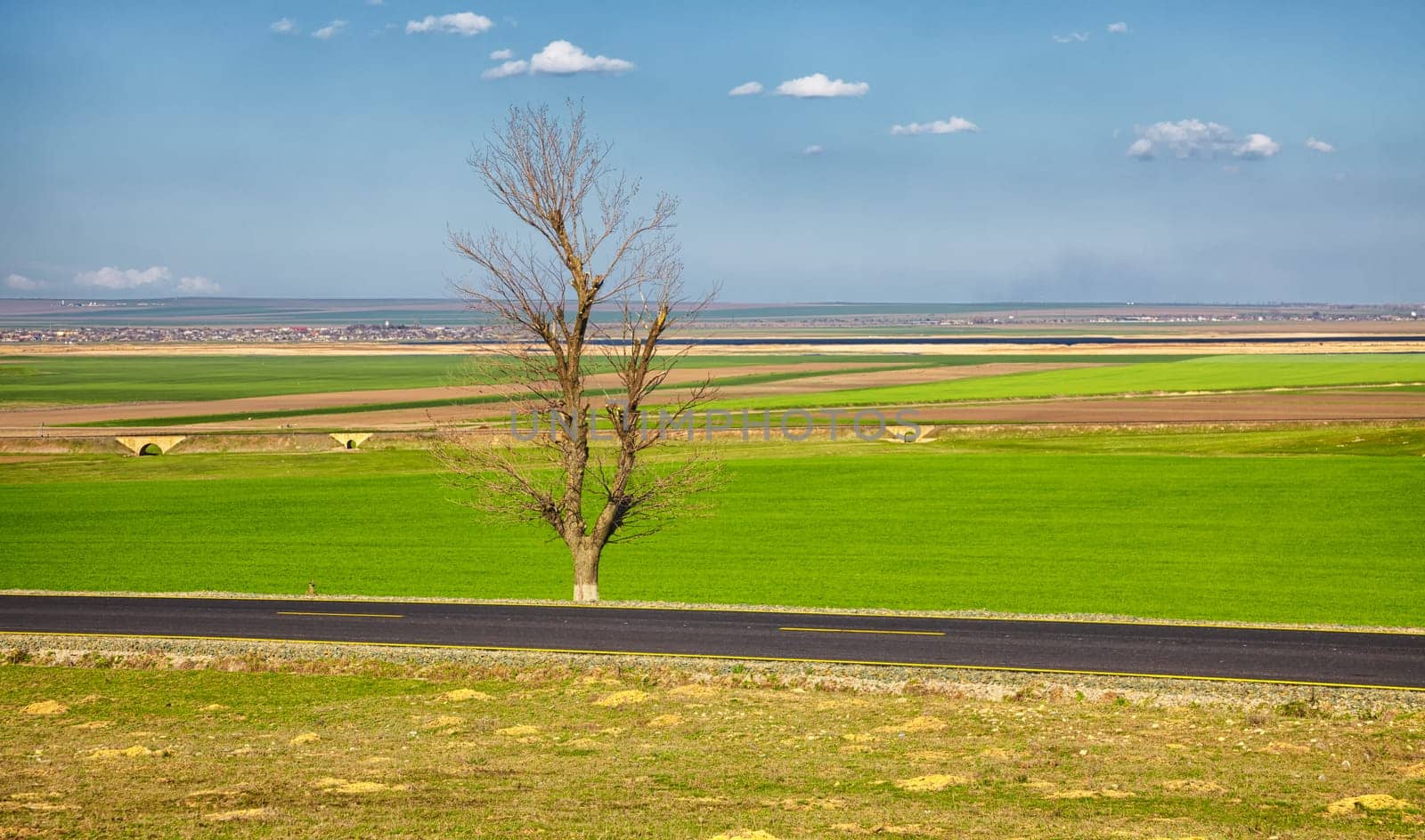 Spring landscape with Golovita lake in the distance, near Baia, Tulcea County, Romania.