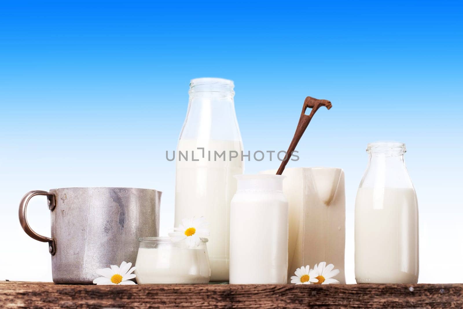 fresh dairy products
