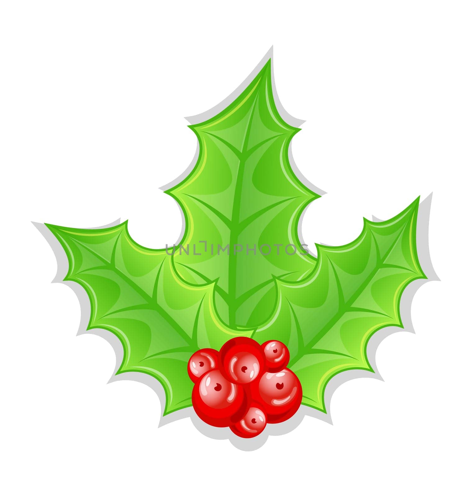 Illustration Christmas decoration holly berry branches isolated on white background - vector