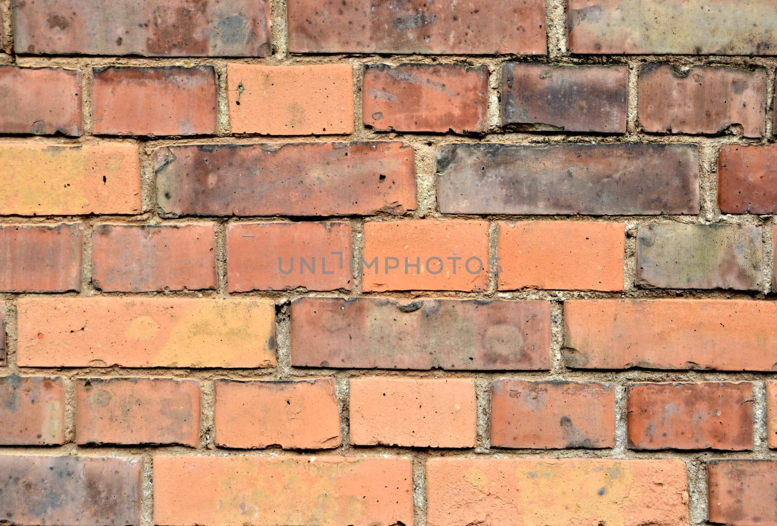 Wall of bricks