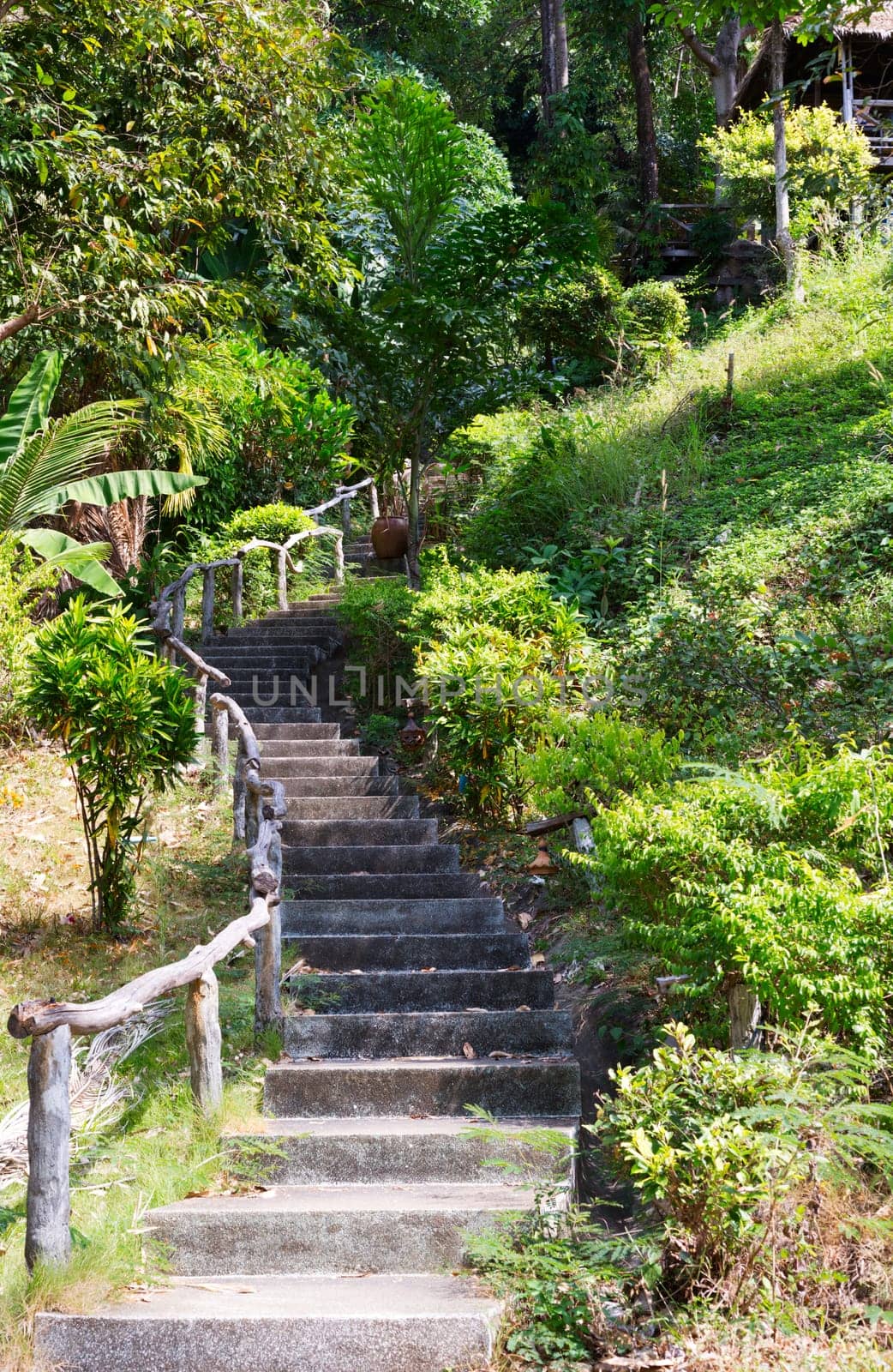 stone staircase with wooden hand rail in the jungles of Thailand