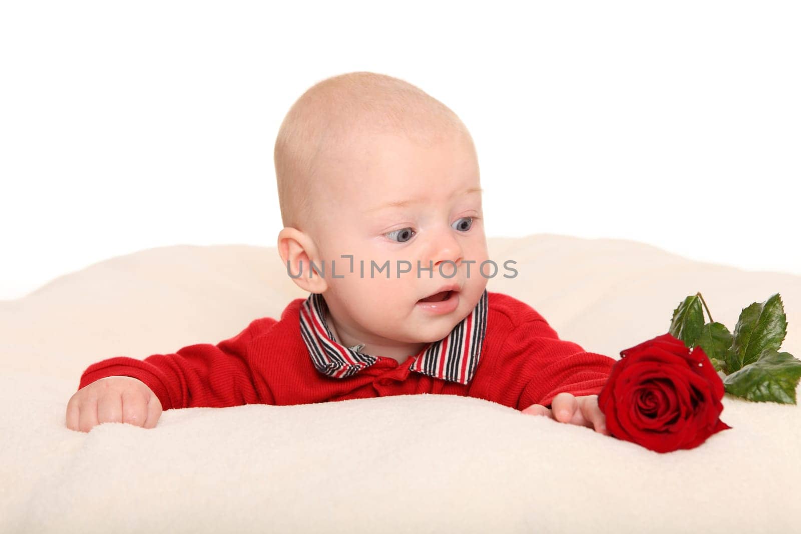 A baby lies on its stomach and looks directly at the rose next to it.