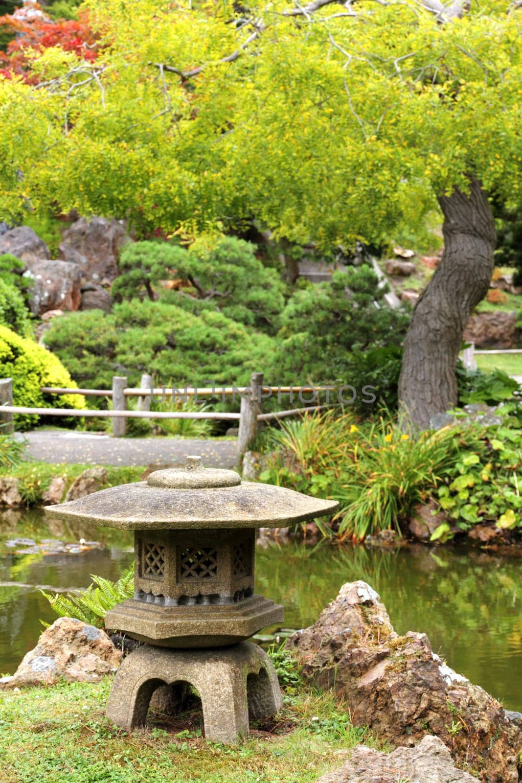 Japanese garden