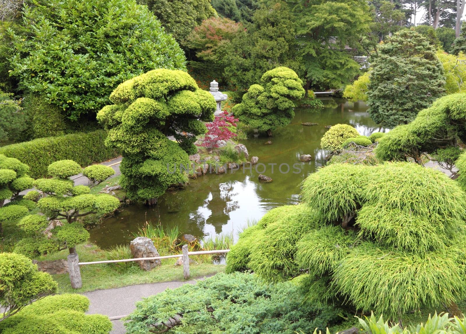 Japanese garden