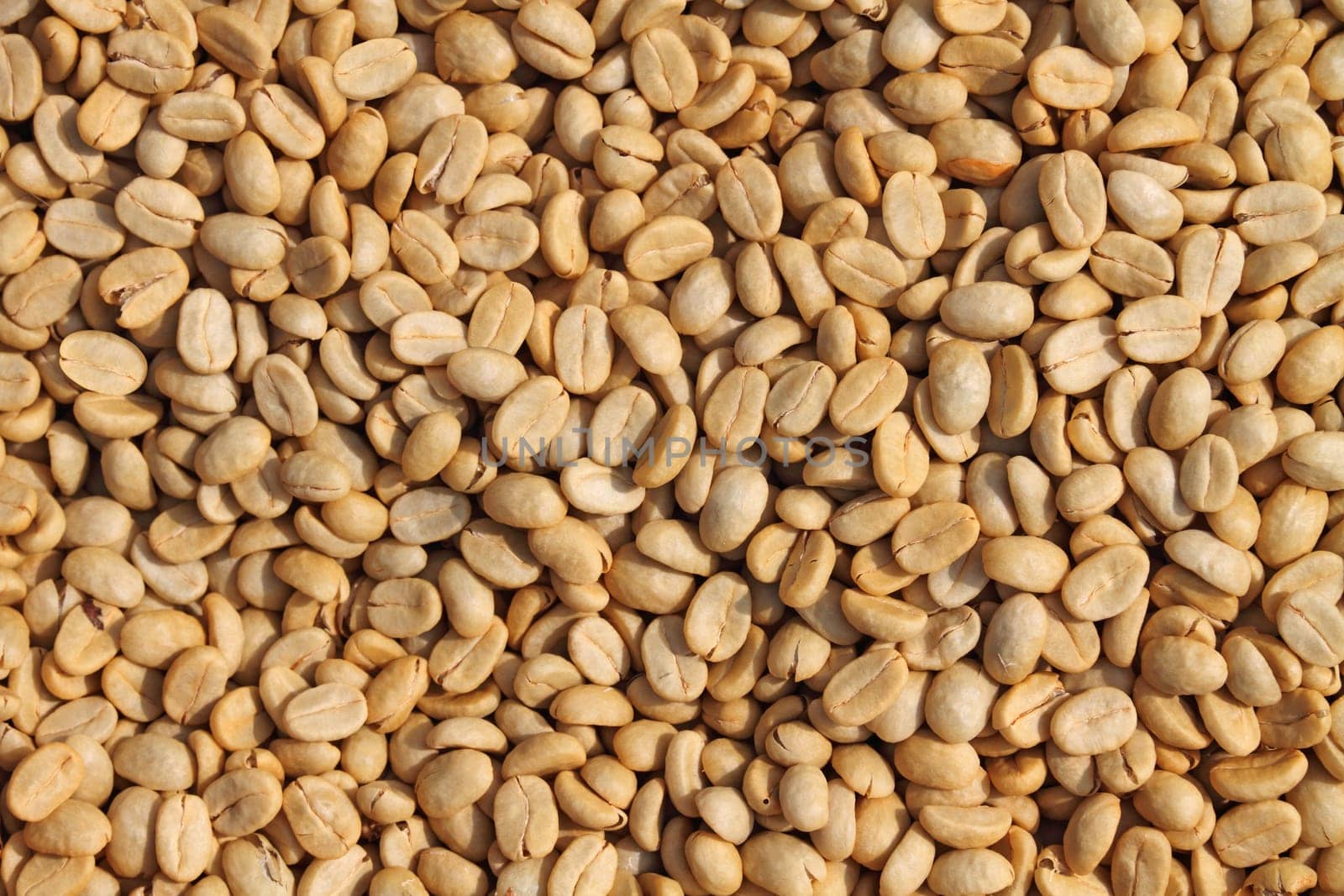 Raw coffee beans background