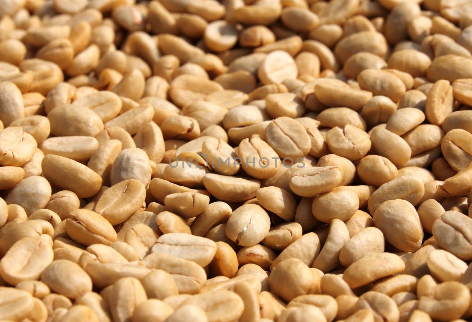 Raw coffee beans background