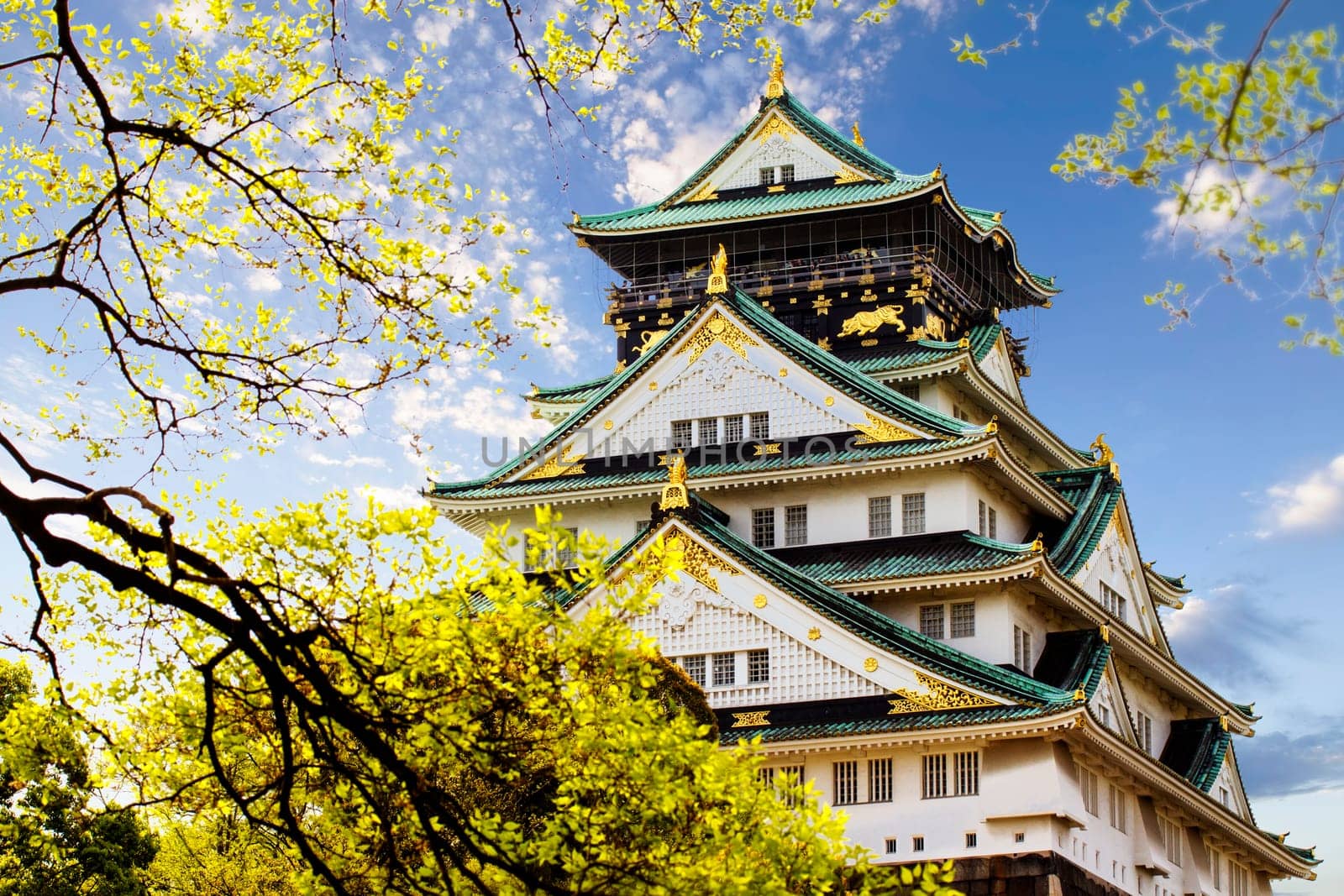 Osaka castle for adv or others purpose use