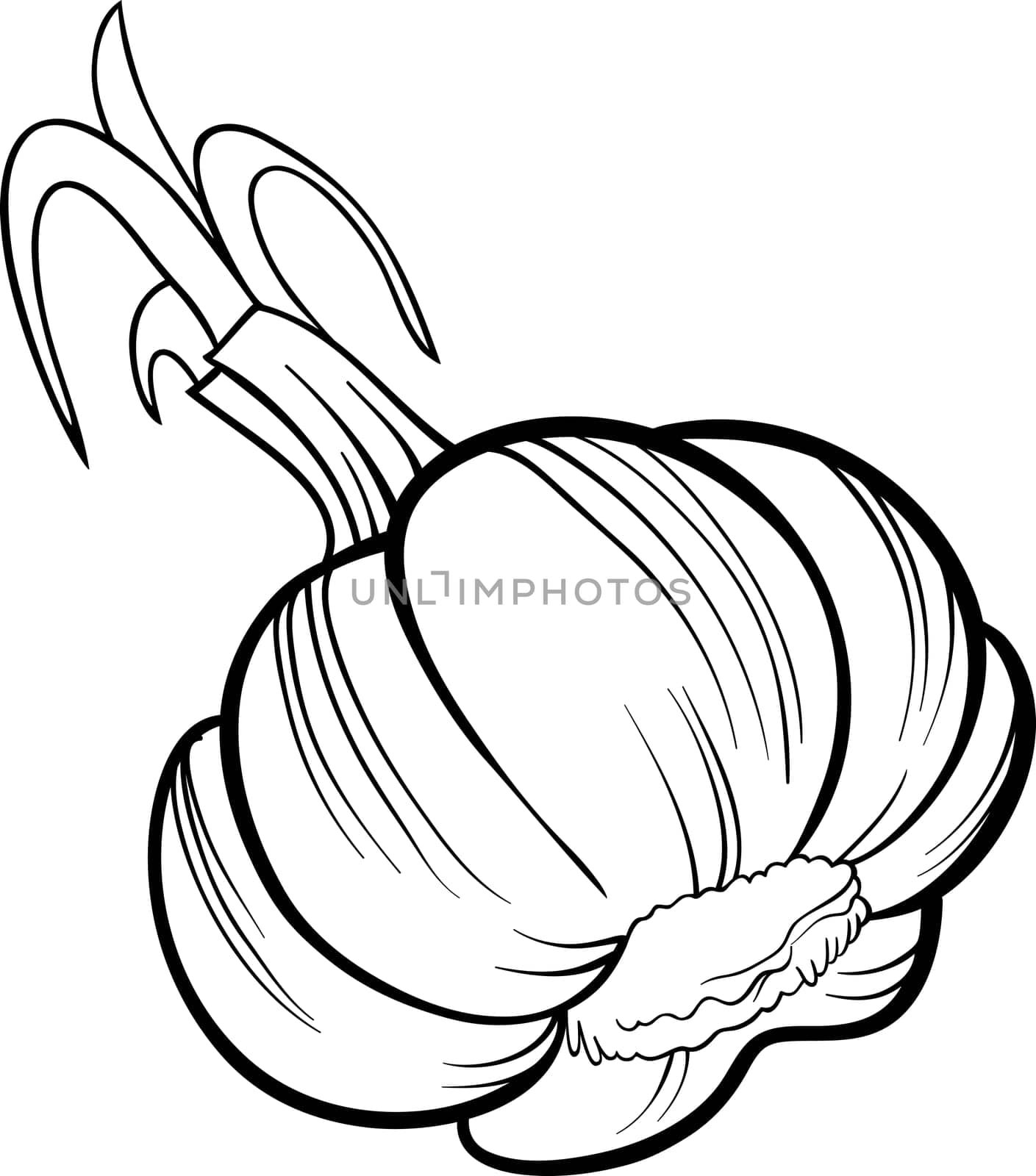 Black and White Cartoon Illustration of Garlic Head Vegetable Food Object for Coloring Book