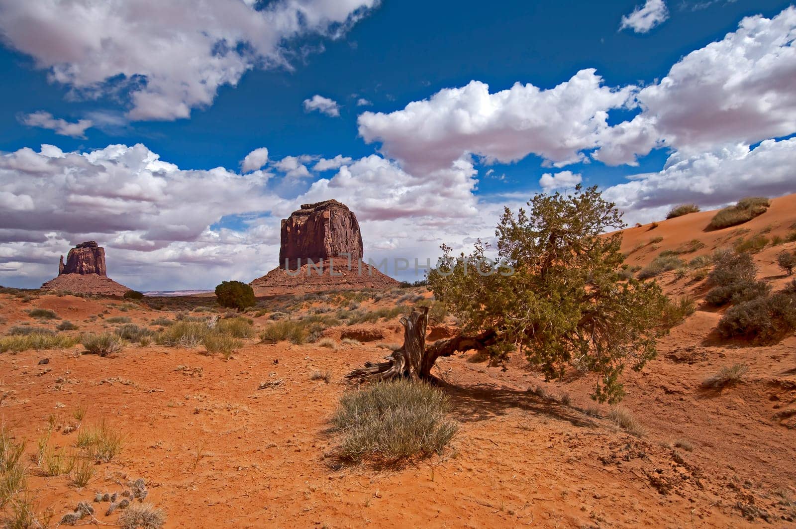 Monument Valley