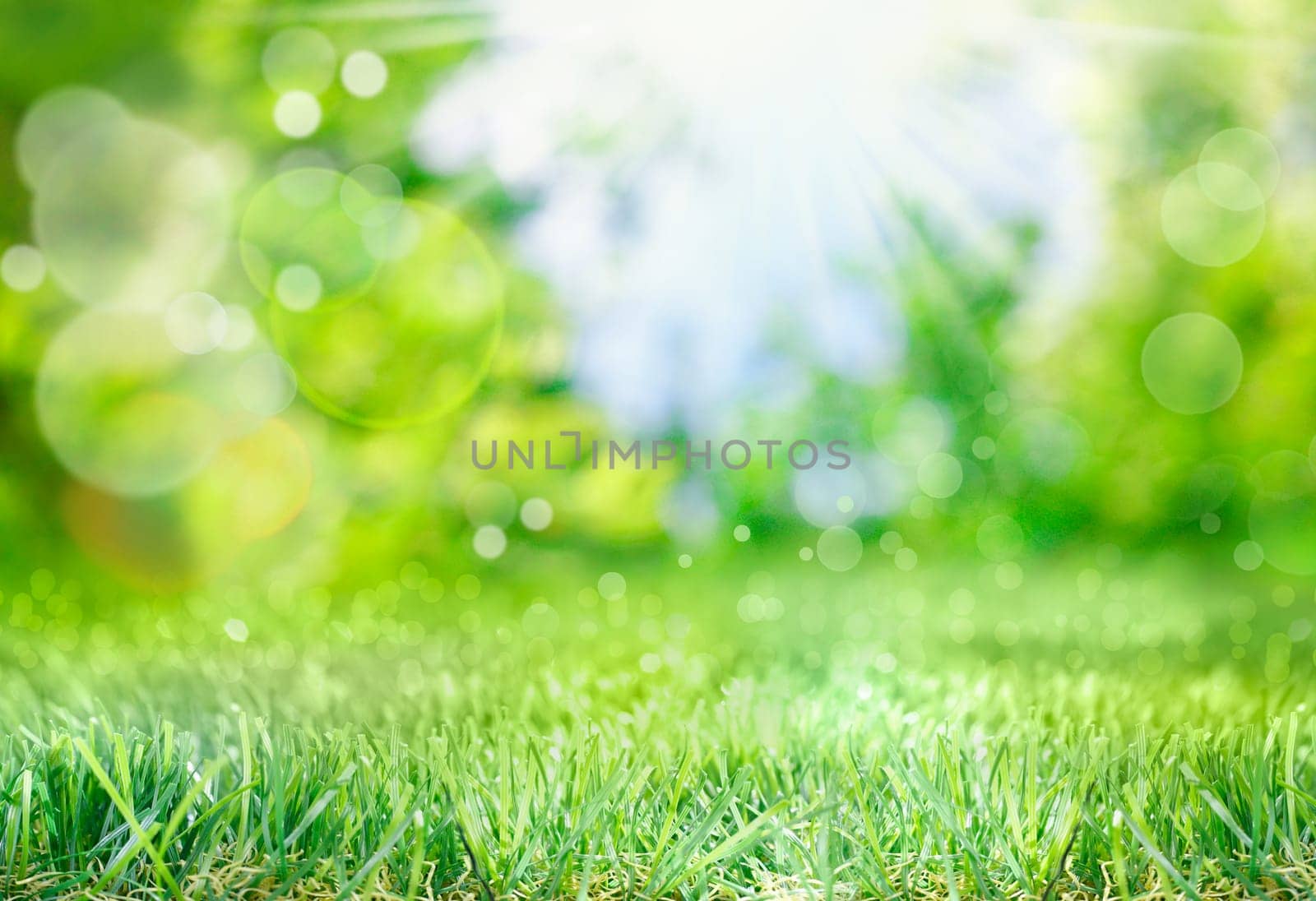 Soft defocused spring background with a sunburst and bokeh over lush green grass