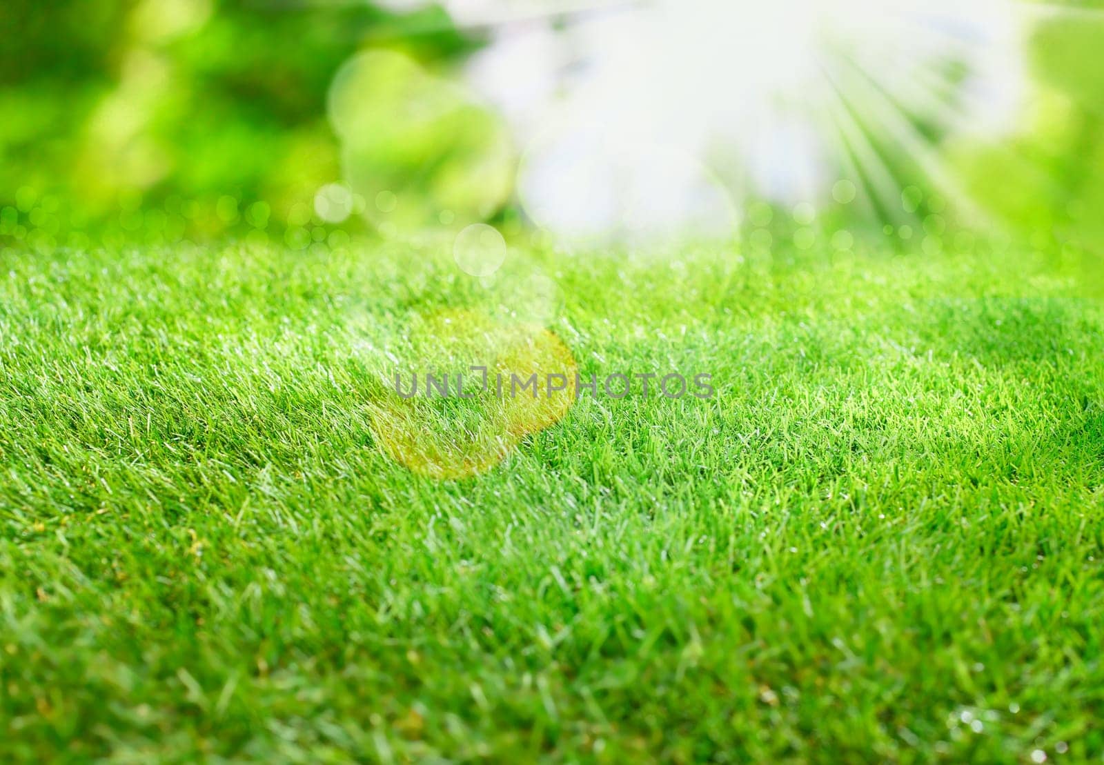Burst of summer sunlight over lush green grass with lens flare and bokeh for a fresh spring or summer background