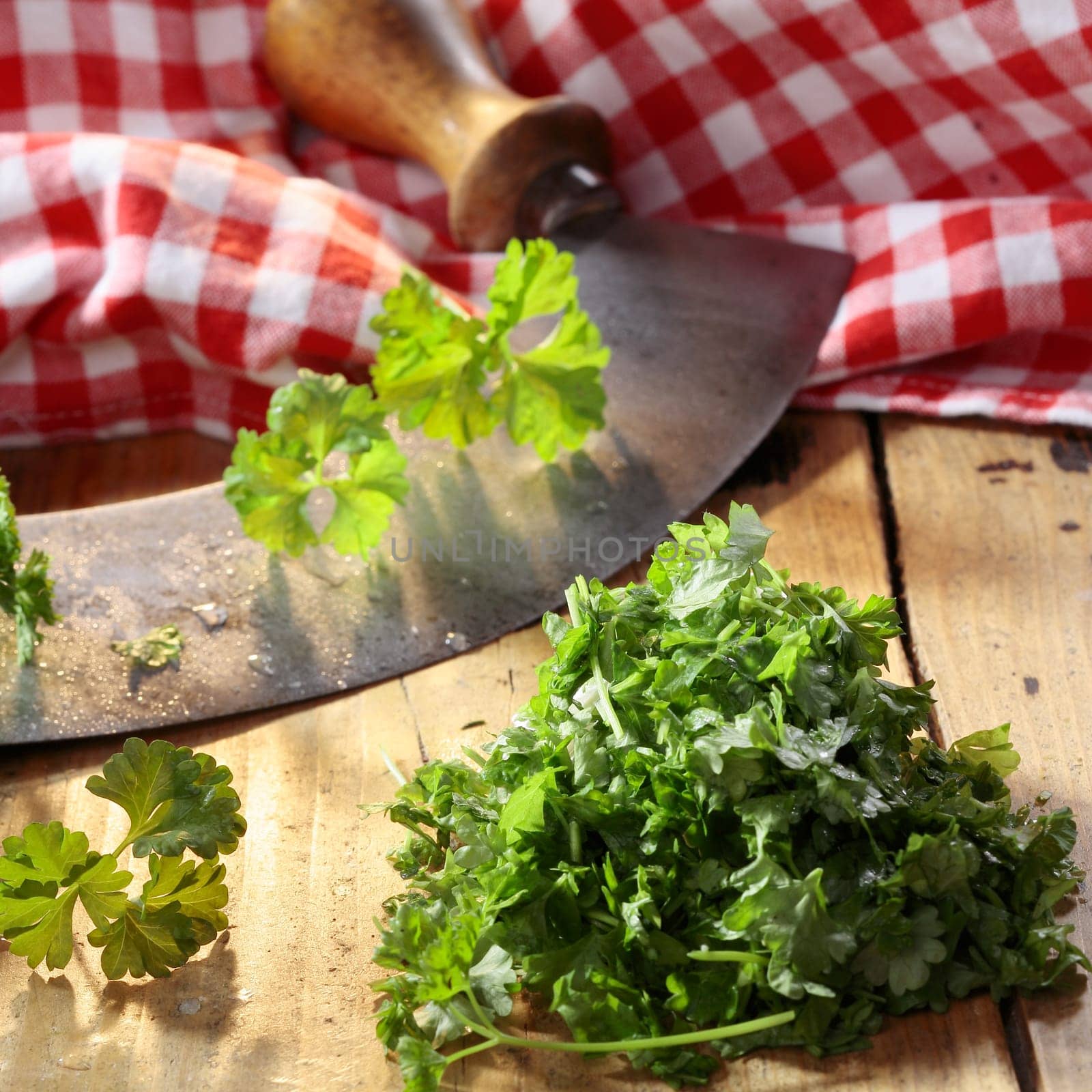 Chopping fresh green crinkly leaf parsley on a rustic wooden table using a curved stainless steel rocker blade knife