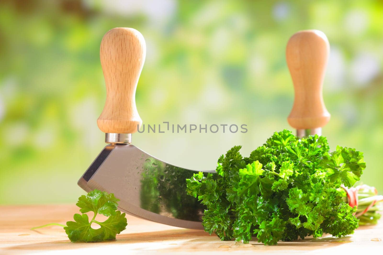 Bunch of fresh green crinkly leaf parsley lying outdoors on a wooden table in the sunshine with a chopping blade