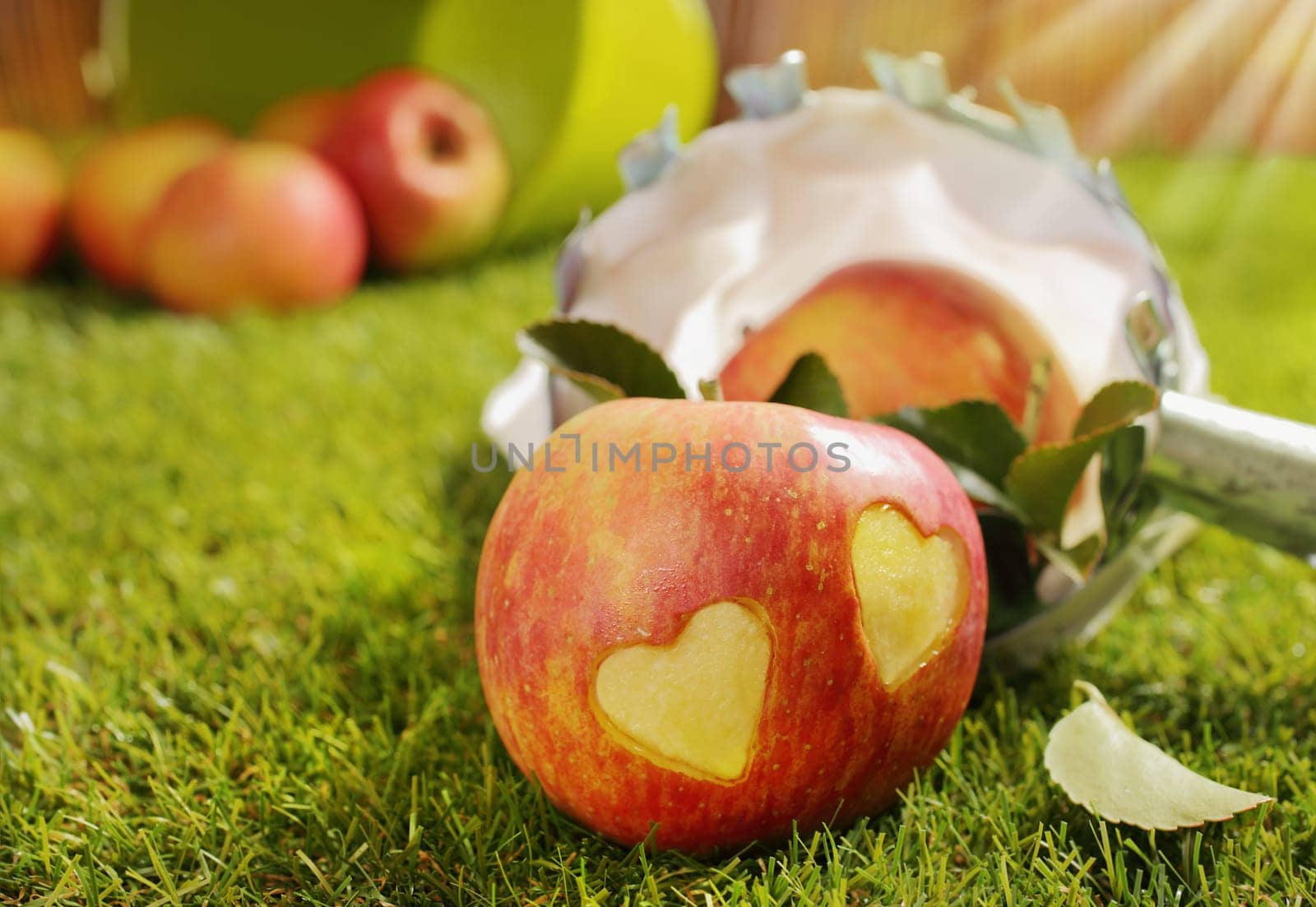 Conceptual image of a fresh ripe red apple with a pair of incised hearts in the skin lying on green grass with other harvested apples visible behind, shallow dof