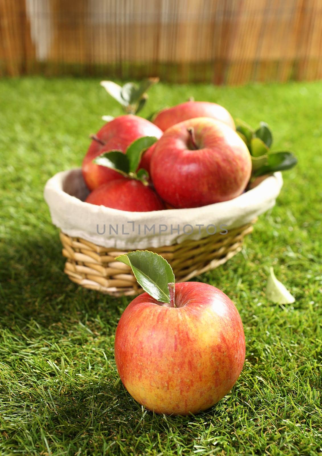 Small wicker basket full of fresh farm apples with one lying on the green grass in the foreground, each with a leaf attached signifying the freshness of the autumn harvest