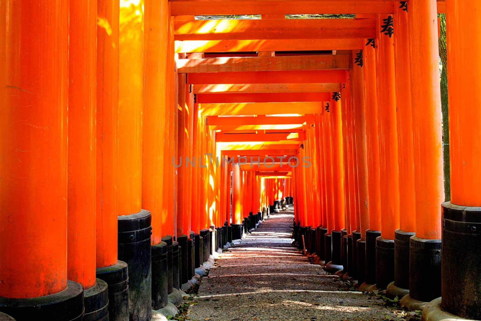 Fushimi Inari Taisha Shrine - Kyoto, Japan for adv or others purpose use