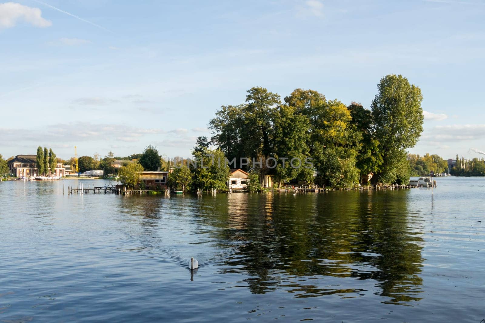litte isle an a swan in berlin spandau